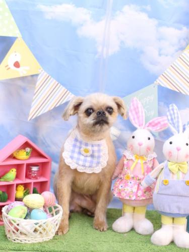 20240331ムーくん